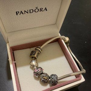 pandora charm bracelet